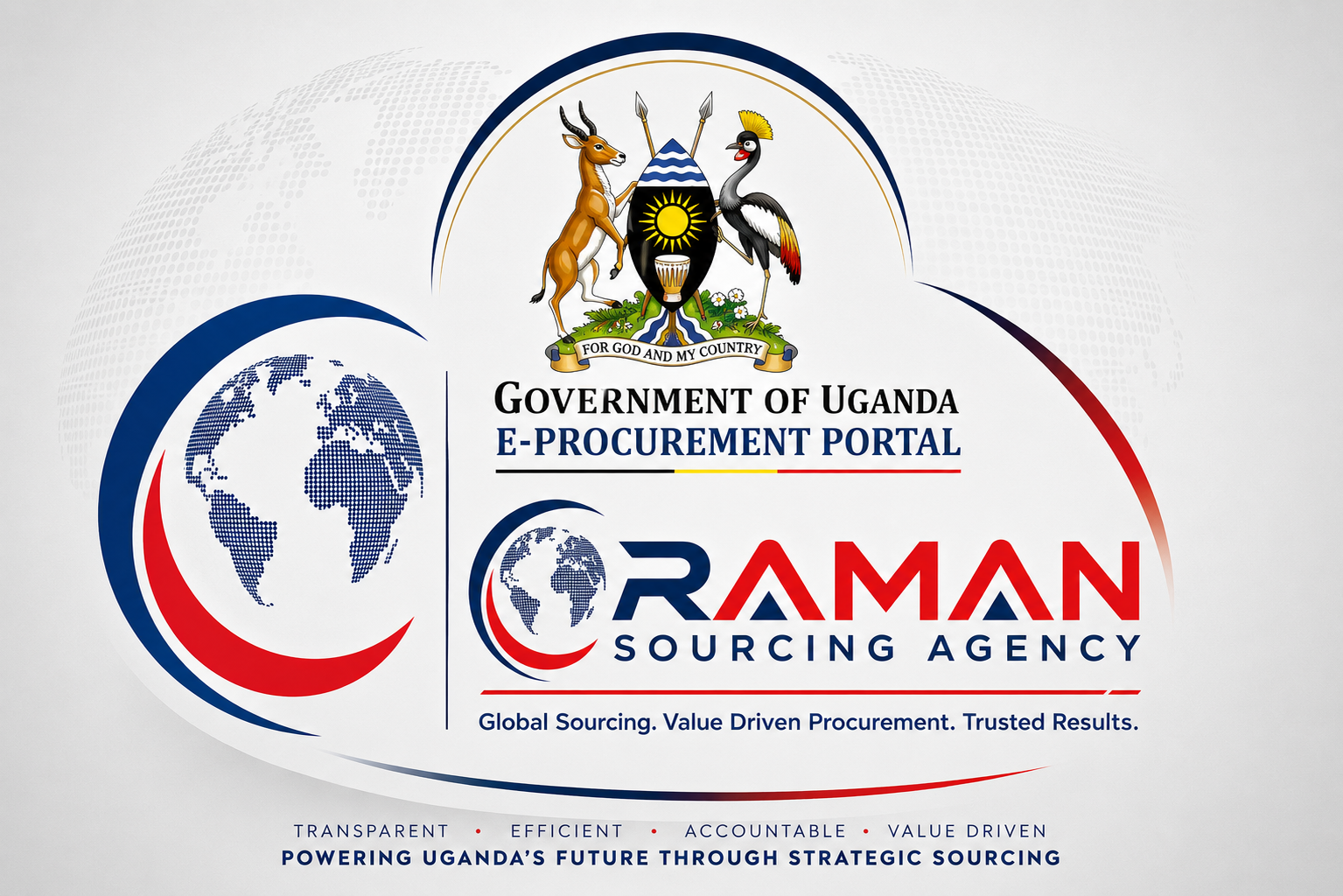 RAMAN PRO image